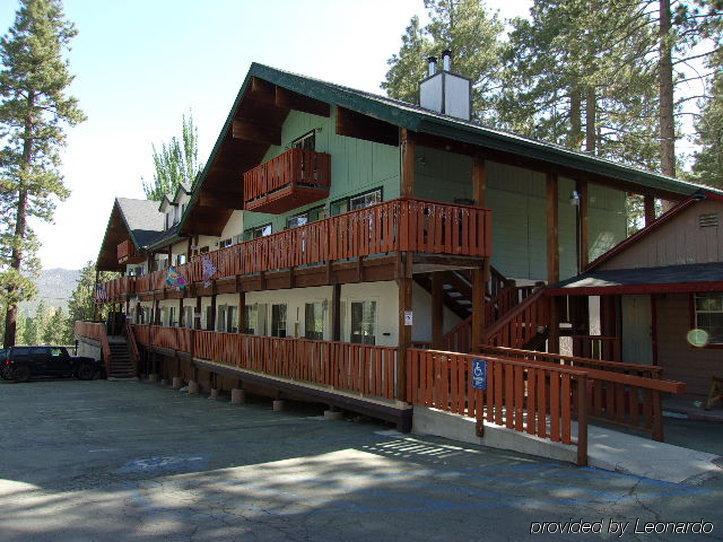 Honey Bear Lodge & Cabins بيغ بير لاكي، سان بيرناردينو، كاليفورنيا المظهر الخارجي الصورة